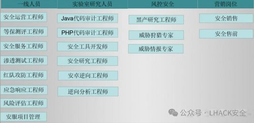 網(wǎng)絡(luò)安全專家與信息安全畢業(yè)生就業(yè)分析 聚焦網(wǎng)絡(luò)與信息安全軟件開發(fā)